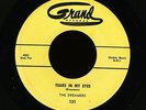 RARE DOO-WOP 45 - THE DREAMERS - TEARS IN MY EYES / 535  [GRAND RECORDS]
