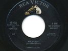 TEENER ROCKABILLY   Wolf Boy   Sammy Salvo RCA VICTOR 47-7516 NM LISTEN