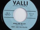 Rockabilly Garage 45 TERRY AND THE PIRATES What Did He Say VALLI HEAR