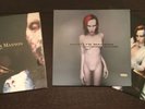 Marilyn Manson Antichrist Superstar + Mechanical Animals Lp Vinyl Records NIN