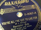 BLUES ROBERT NIGHTHAWK (rambling bob) Bluebird 8067 Freight Train Blues E to E-
