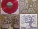 J Mascis-Tied to a Star lp record Loser Edition limited rare dinosaur jr sub pop