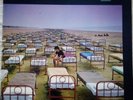 Pink Floyd - A Momentary Lapse of Reason LP. 1987