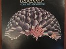 Ramp - Come Into Knowledge (Blue Thumb) Orig Promo JAZZ, FUNK/SOUL Roy Ayers VG+