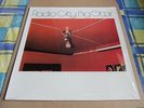 Big Star Radio City. Vinyl LP, 180 gram reissue on the Akarma label. Chris Bell