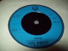 LLOYD HEMMINGS Africa b/w SKIN FLESH & BONES Roots reggae Dub