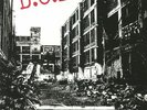 DOA - Fight Back - Vinyl (heavyweight vinyl LP + insert)