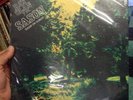 LP Ray Olan Y Su Sason Sugar On Sunday Alegre Label SLPA-8770