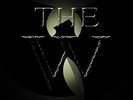 Wu Tang Clan-The W (2LP)  VINYL NEUF
