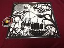 Dave Matthews Band Come Tomorrow LP Vinyl Rock Piranha Records