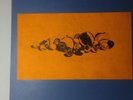 records - sun ra - aurora borealis - el saturn records - 
