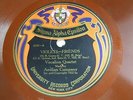 Sigma Alpha Epsilon - University Records 315 - Violets - Friends
