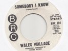 NORTHERN SOUL -- WALES WALLACE  -- SOMEBODY I KNOW