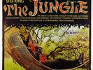 B.B. King - The Jungle LP - Kent VG+