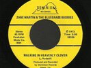 Virginia Bluegrass Gospel 45   Zane Martin   Dominion   Hear