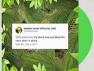 Weezer Africa Green Vinyl 7