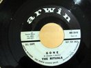 Garage Surf Doo-Wop THE RITUALS Gone / Surfers Rule ARWIN MM-128-45 PROMO