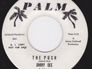 Funk Northern Soul 45 on PALM - JIMMY DEE - The Push / Shanty Town