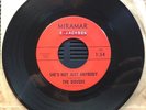 The DOVERS: She's Not Just Anybody / About Me - Miramar-124 1966 45 rpm Single