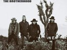 The Brotherhood [VINYL] Lynch Mob Vinyl