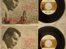 45 DE ANDRE' & MAUREEN - GEORDIE - AMORE CHE VIENI...ANNO 1966 - KARIM KN 215