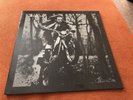 Jethro Tull Live In Hamburg Germany 1982 GRC 005