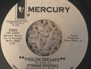 Stormie Wynters Foolish Dreamer Life Saver Mercury 72505 Rare Northern Soul 45
