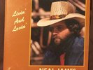 NEAL JAMES Livin' And Lovin' LP Holiday country pop modern soul autographed hear