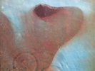 PINK FLOYD MEDDLE LP UK Harvest SHVL 795 Gatefold Sleeve Made in USA Text 1971