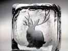 MIIKE SNOW - Miike Snow 2xLP Vinyl NM