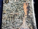 Siouxsie and the Banshees Juju Limited Edition Gold Vinyl *NEW / SEALED*