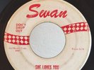 Rock 45 The Beatles She Loves You on Swan Red Lettering Don't Drop Out HEAR