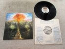THE MOODY BLUES LP IN SEARCH OF THE LOST CHORD EARLIEST UK MONO 1968 DATED
