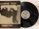 Saccharine Trust - Paganicons - 1981 US 1st Press SST-006 (NM) Ultrasonic Clean