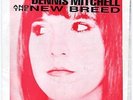 Dennis Mitchell & the New Breed 45 Teenage Myth - Arizona Lo-Fi Power Pop - HEAR