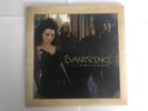 Evanescence - Call Me When You're Sober - 7