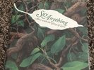 Say Anything Alive With The Glory Of Love 7”