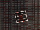 Various Punk(Vinyl LP)Farewell To The Roxy-Lightining-LIP 2-UK-1978-NM/NM