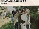 SMITH What Am I Gonna Do on Dunhill 45 With Rare Picture Sleeve