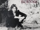 Nick Drake 