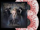 Cradle Of Filth ? Cryptoriana CLEAR / RED SPLATTER VINYL 2 LP RECORD