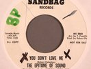Epitome of Sound You Don't Love Me 7