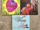 Wussy Strawberry Left for Dead Attica Vinyl Lps Shake It Records Free Shipping