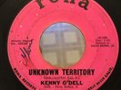 KENNY O'DELL Unknown Territory RONA R-1008 Baby, Since R&B NORTHERN Soul 45
