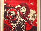 Signed The Gaslight Anthem Mae El Jefe Screen Print Poster Mint with Provenance