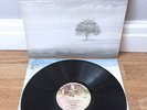 GENESIS Wind & Wuthering LP 1st UK press Mad Hatter Textured + Inner NEAR MINT