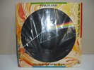 pink floyd the dark side of the moon lp limited edition picture disc 1978 seax