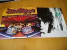 The WATERBOYS [Mike Scott] - 2 x Vinyl LPs  Room To Roam & A Pagan Place - NEW