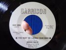 VINTAGE DJ PROMO DEMO 45 RECORD * JIMMIE RAYE * LOSING YOUR MIND GARRISON #124