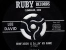 LEE DAVID - TEMPTATION IS CALLING MY NAME - RUBY
